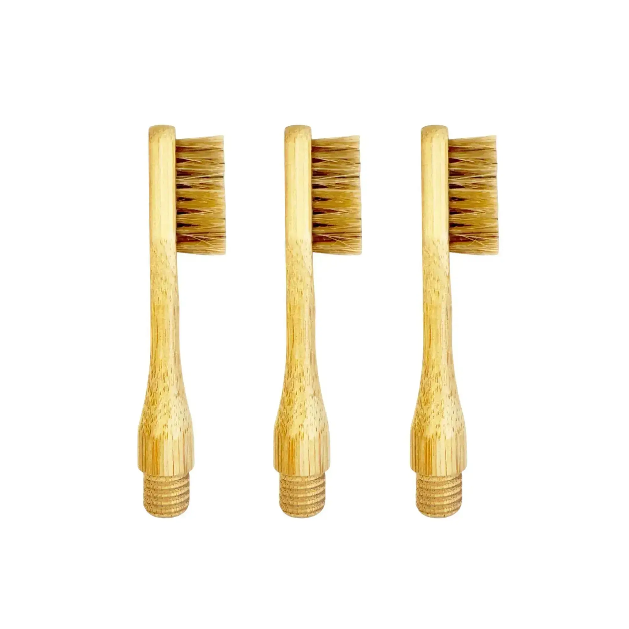 Boars Hair Toothbrush Kit - Image 5