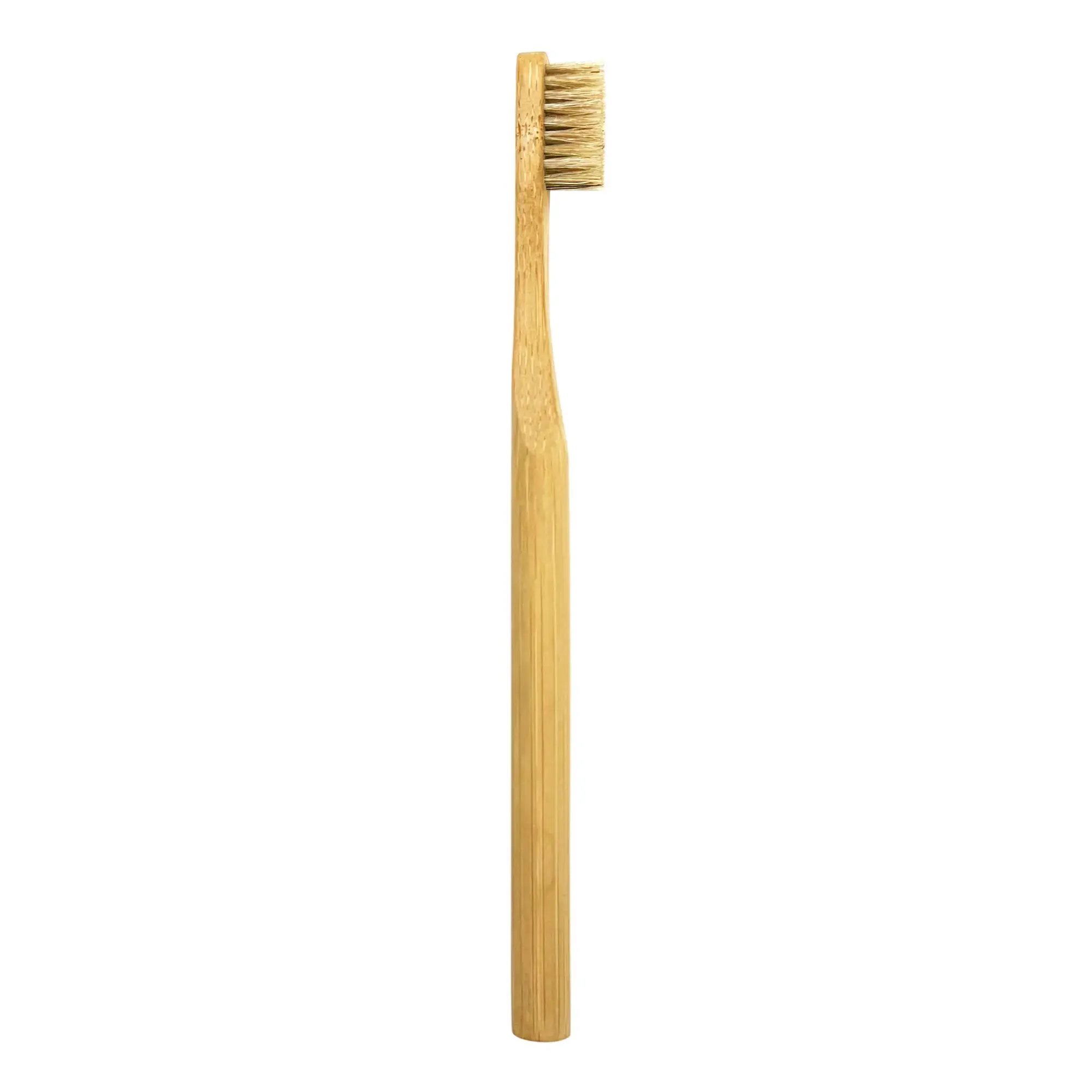 Oral Care Bundle - Image 7